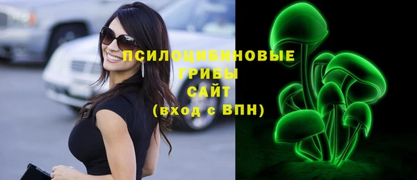 бошки Белокуриха