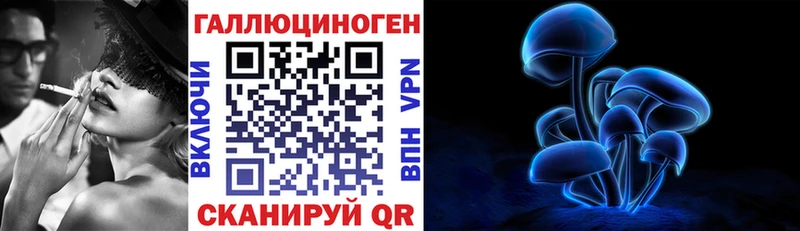 Псилоцибиновые грибы Psilocybe Владивосток
